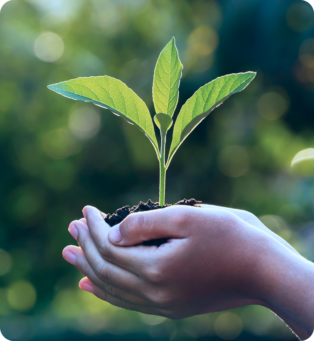 Our ESG​