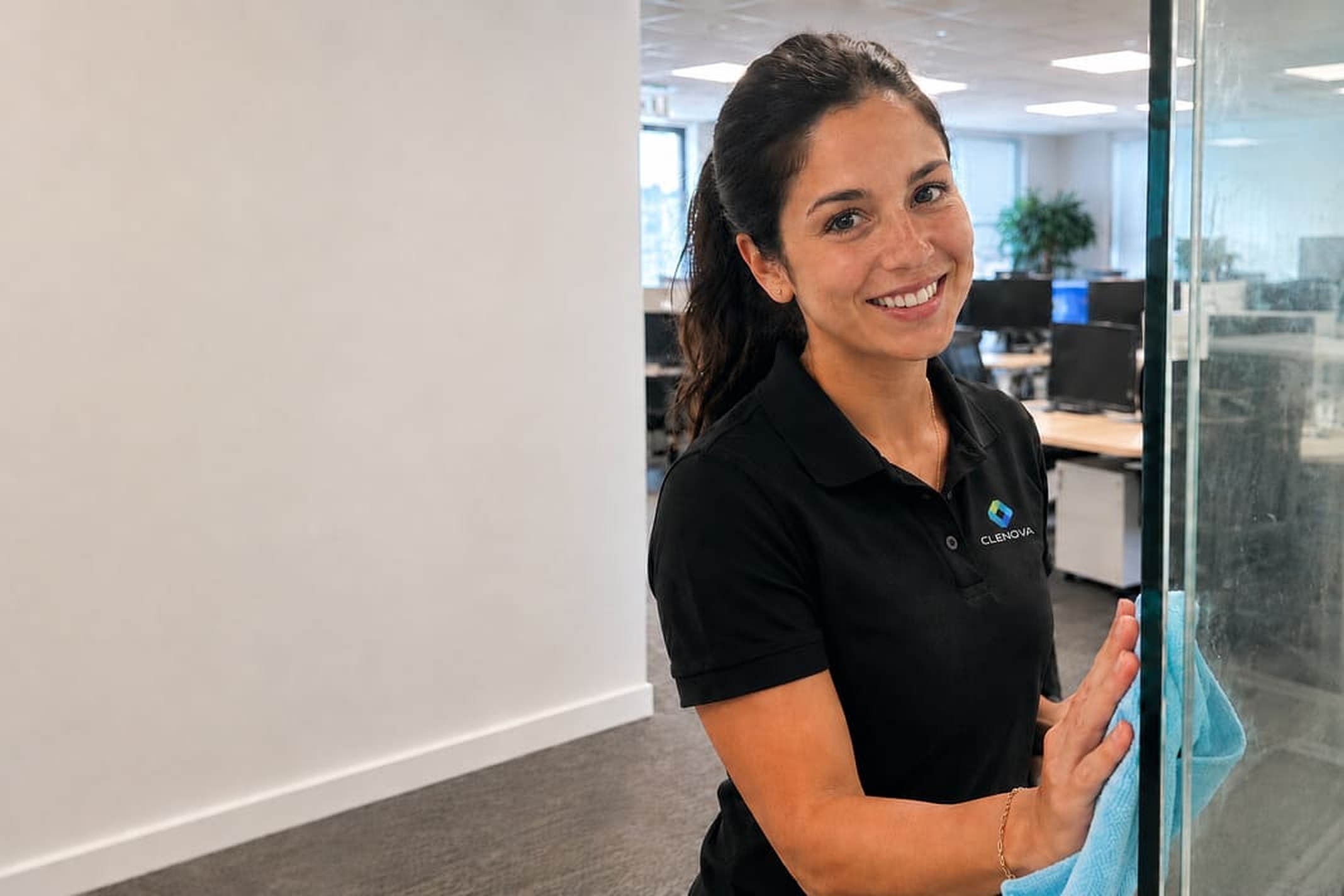 Clenova cleaner polishing office glass - Illustrative Image