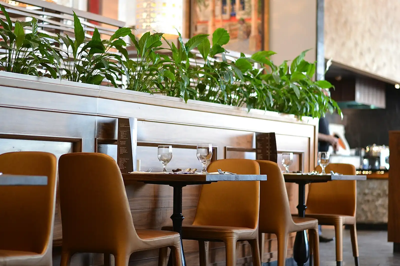 Clean restaurant dining area with neatly set tables, leather chairs and indoor greenery.